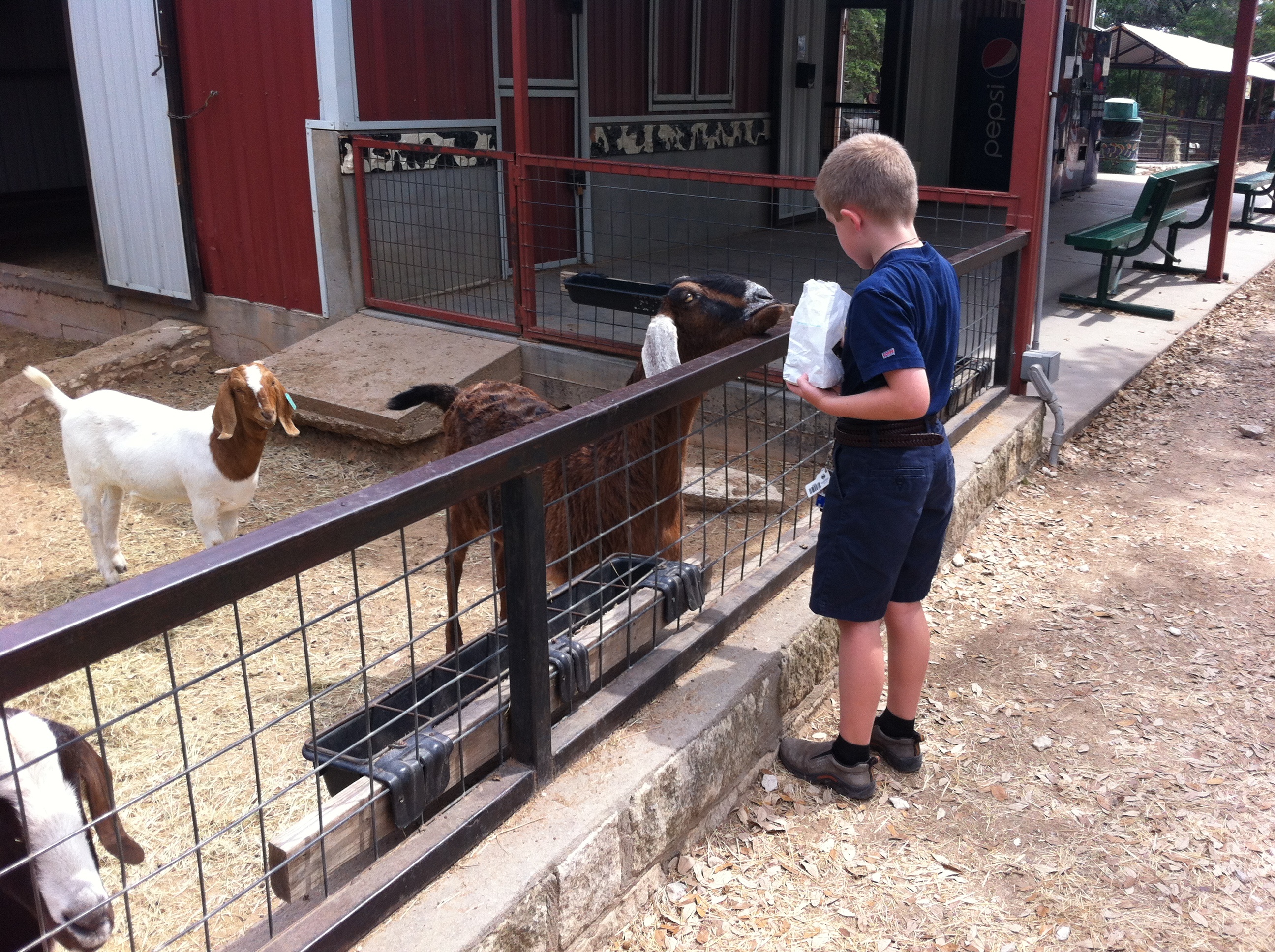 2012-04-09-16-Austin Zoo with Ian.jpg